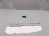 293770000 Smith & Wesson New J Frame Model 325PD - 386PD Blue Side Plate Screw