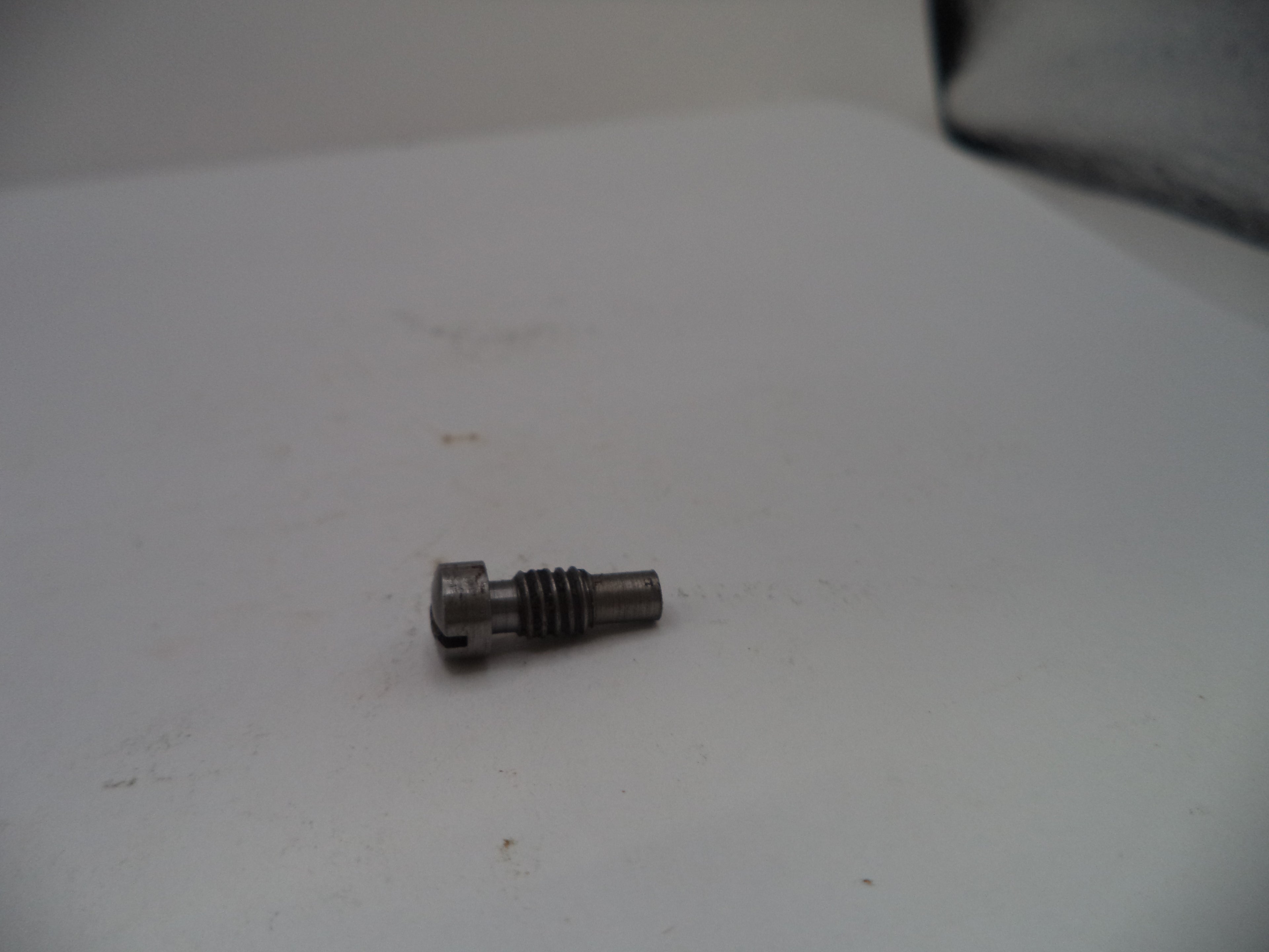 Small metal screw on a white surface