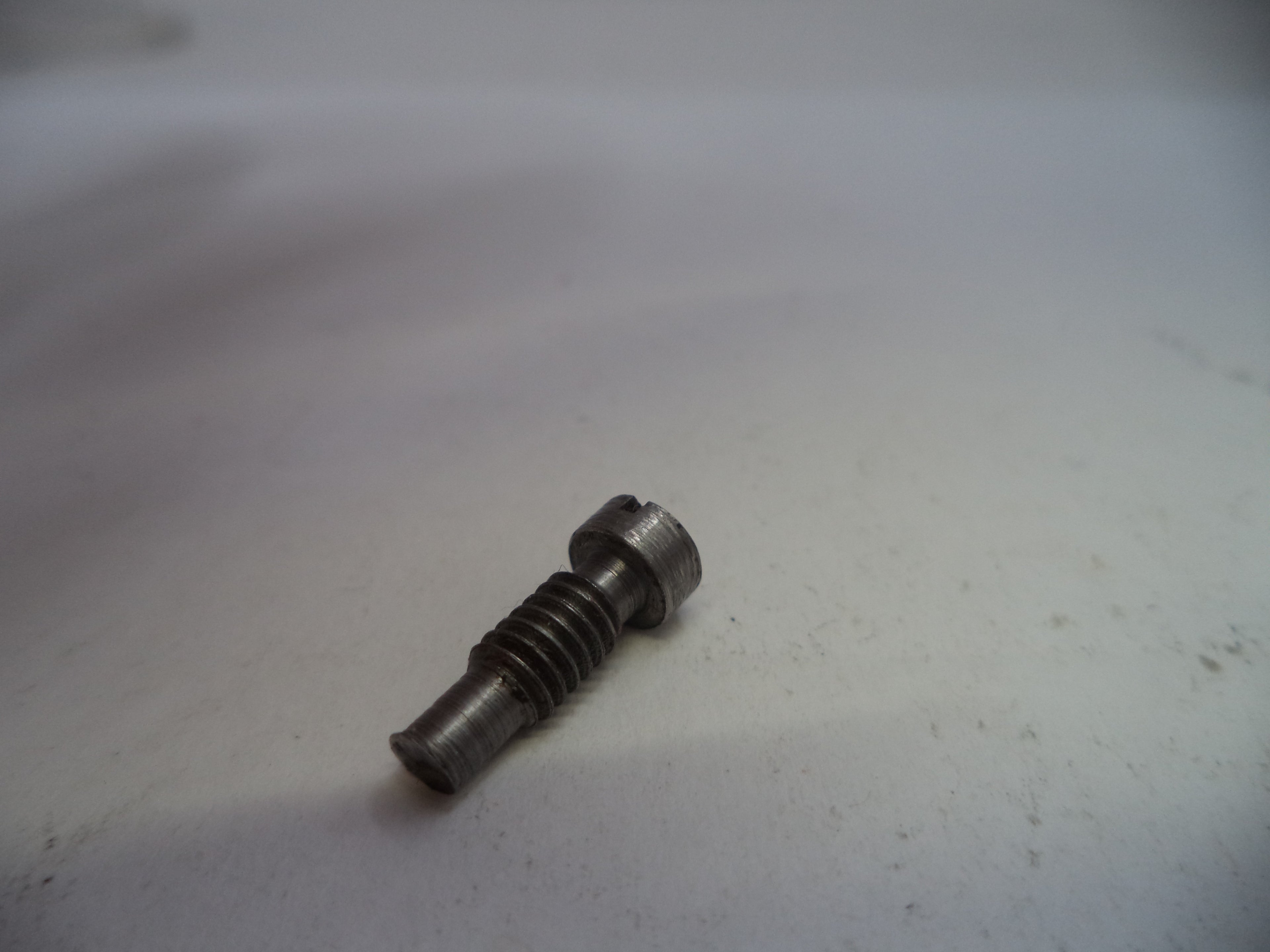 Metal screw on a light gray background