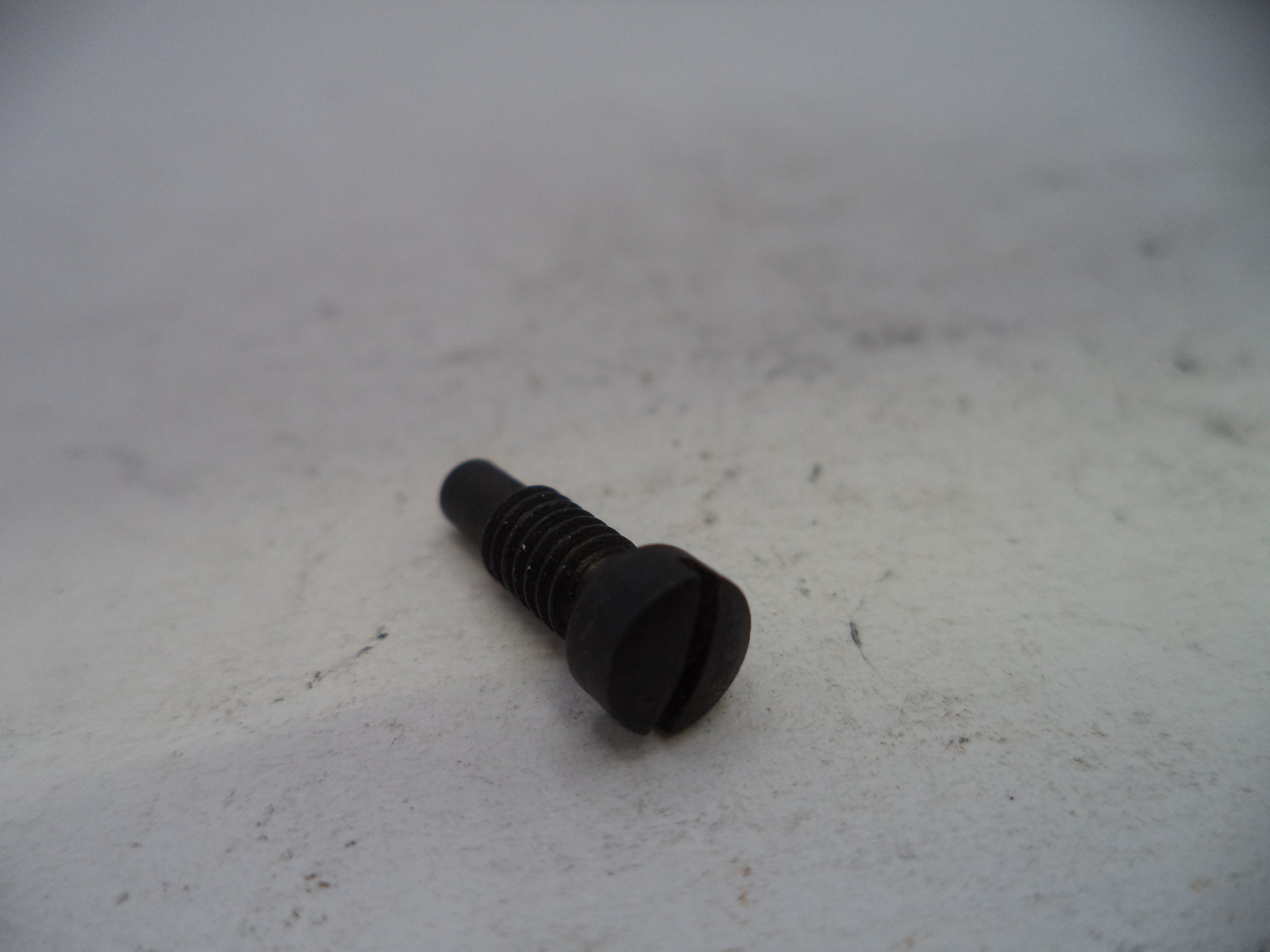 A small black metal screw with a slotted hex head, lying on a light gray textured surface.