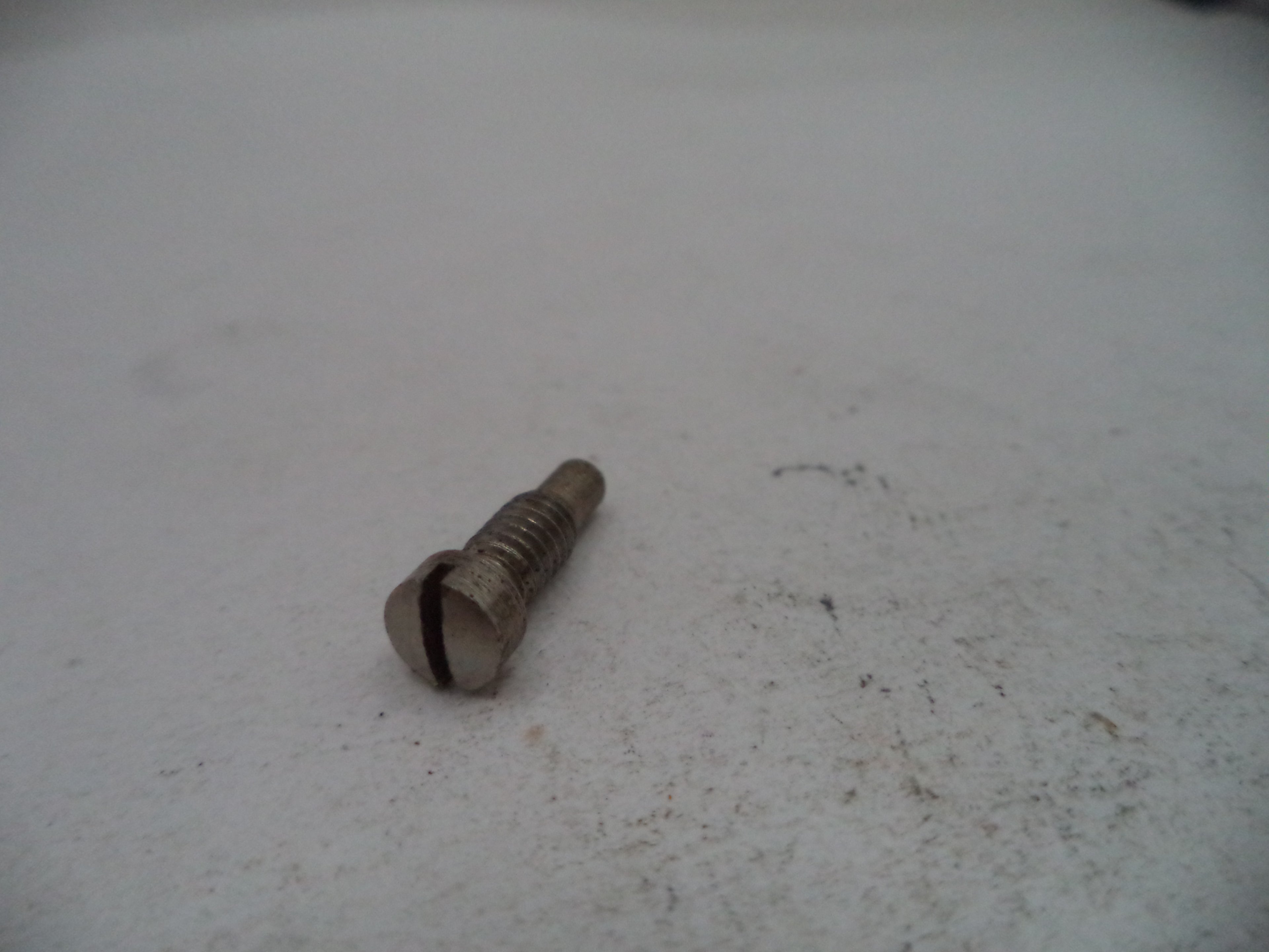 A small metal slotted screw with a threaded shaft, lying on a light gray textured surface.