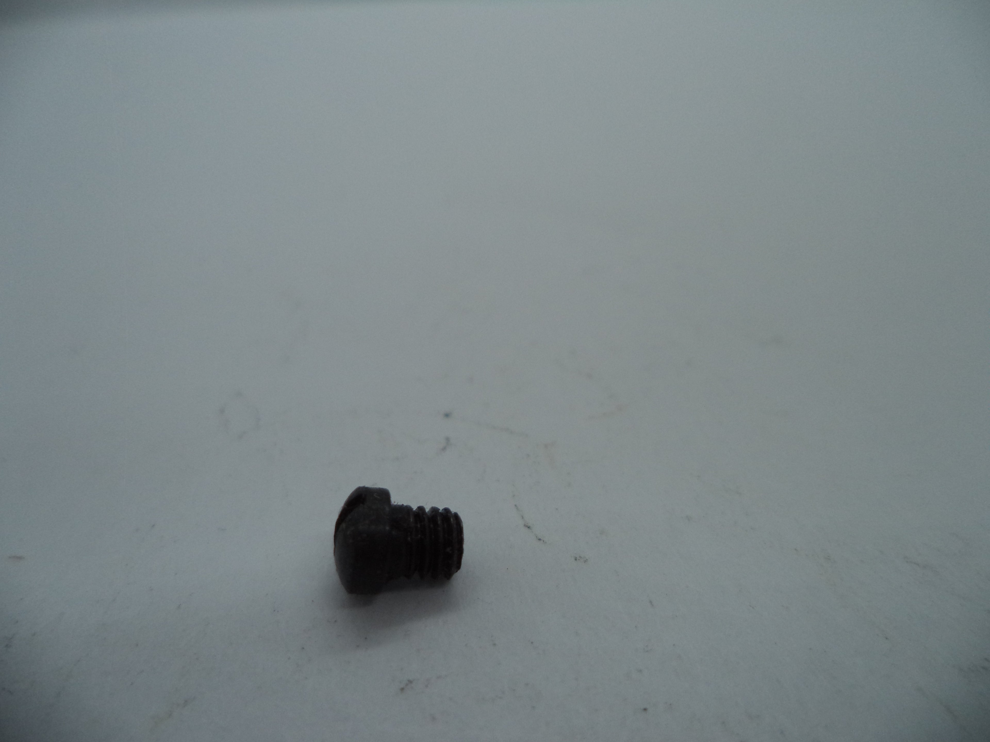 19120Z S&W K Pre-Model 19 (4 Screw) Combat Magnum Cylinder Stop Screw Blue