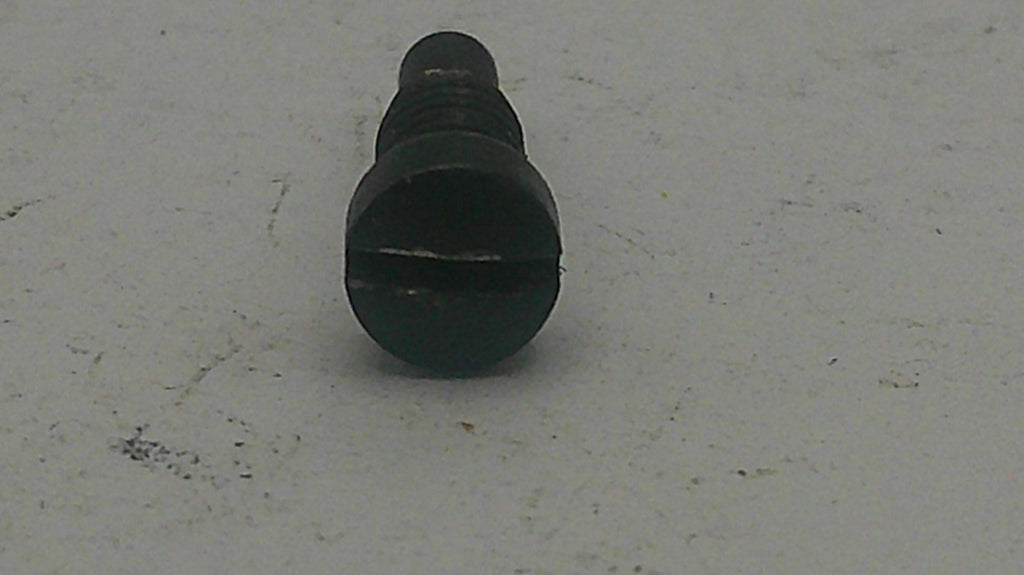 Black screw on a light gray background