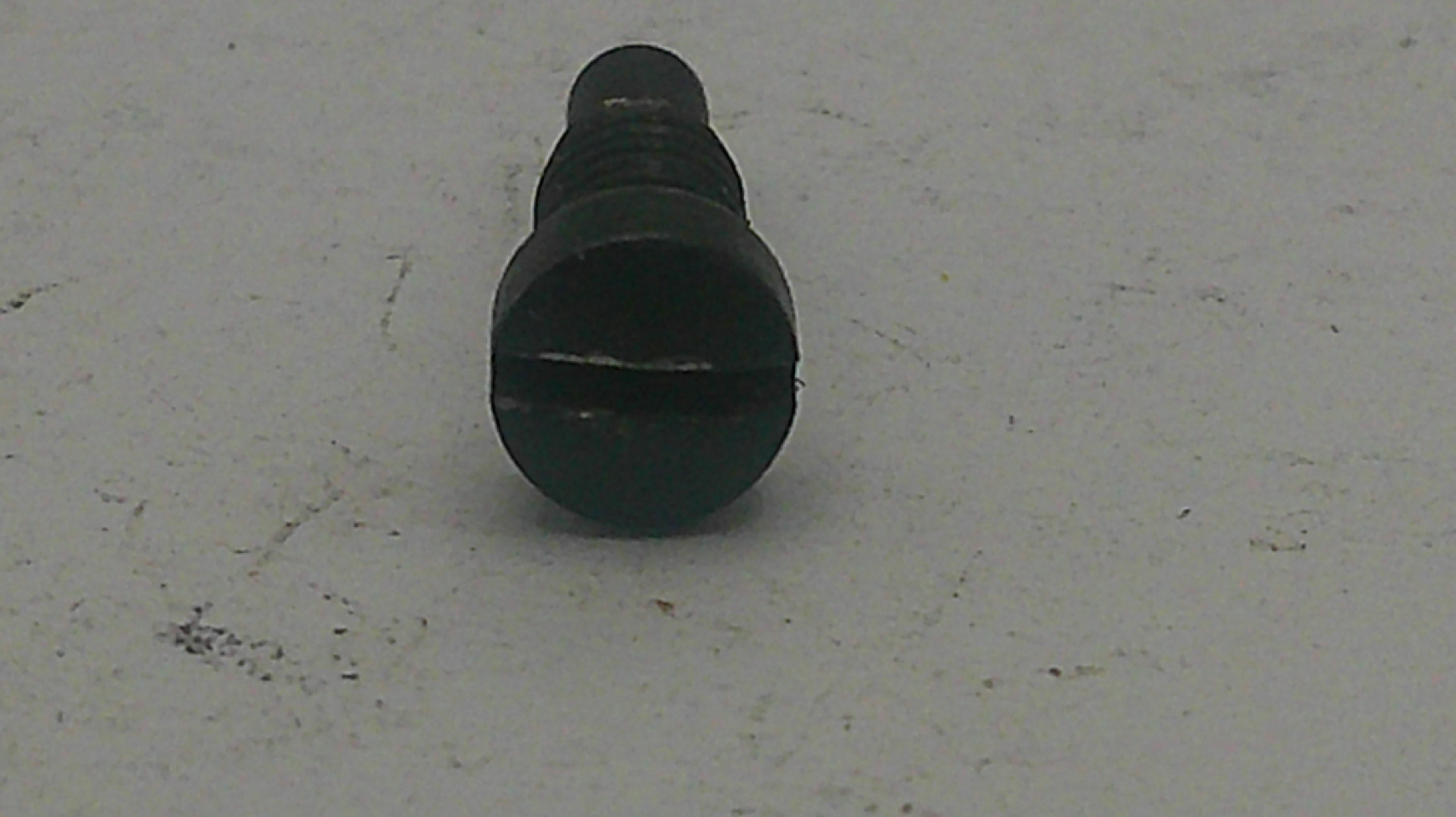 Black screw on a light gray background