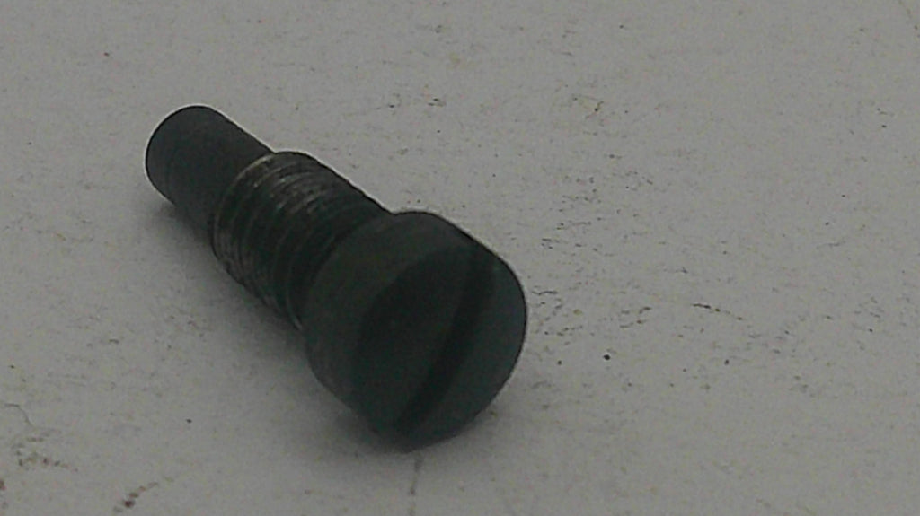 Black metal screw on a light gray background
