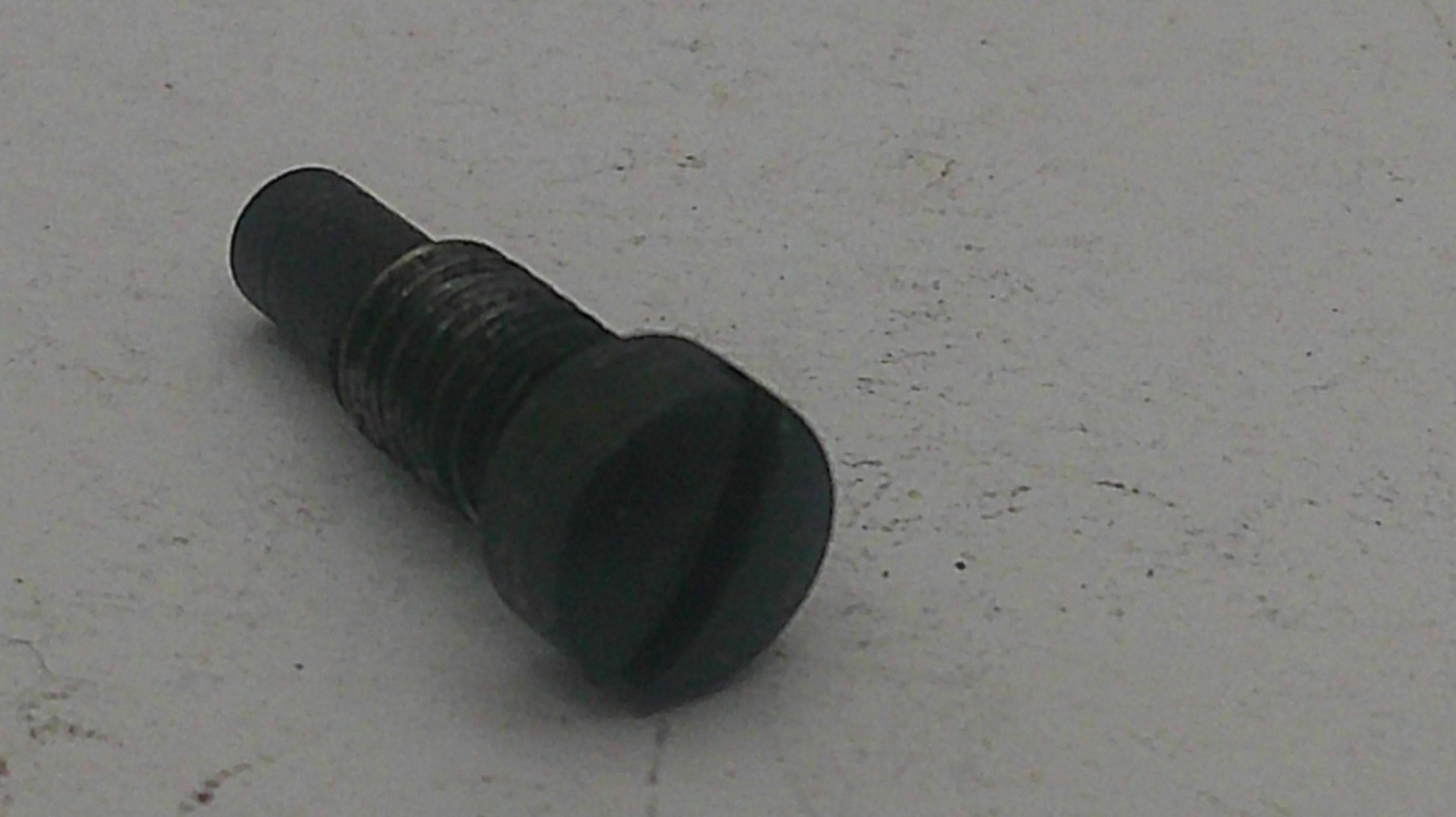 Black metal screw on a light gray background