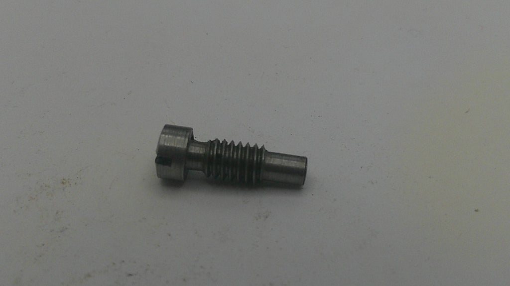 Metal screw on a white background