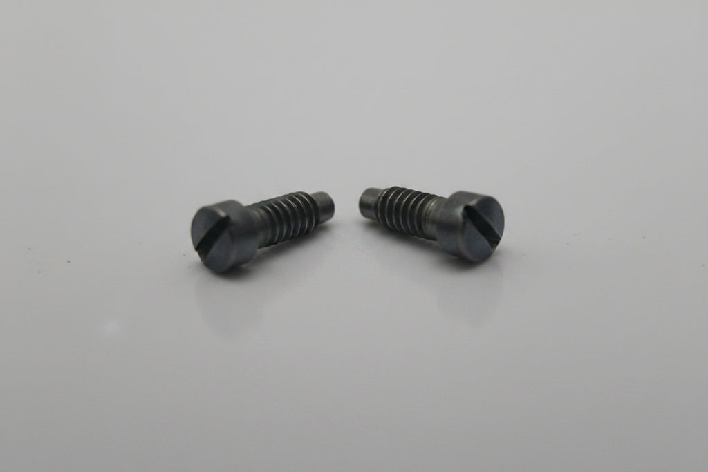 Two small metal screws on a light gray background