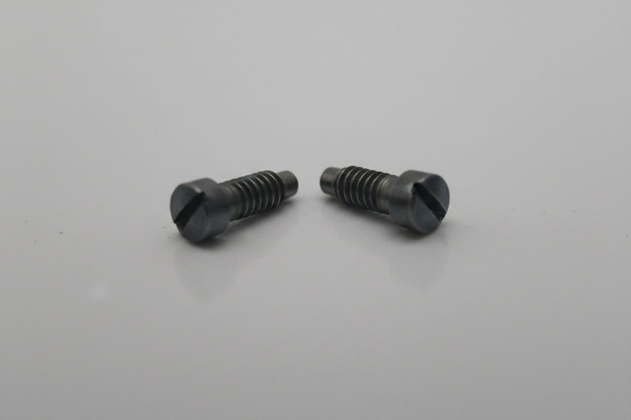 Two small metal screws on a light gray background