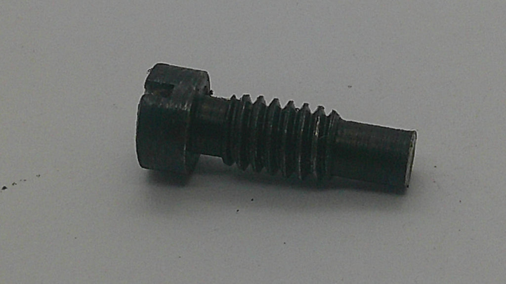 A small black metal threaded screw or bolt with a flat head, photographed on a plain light gray background.