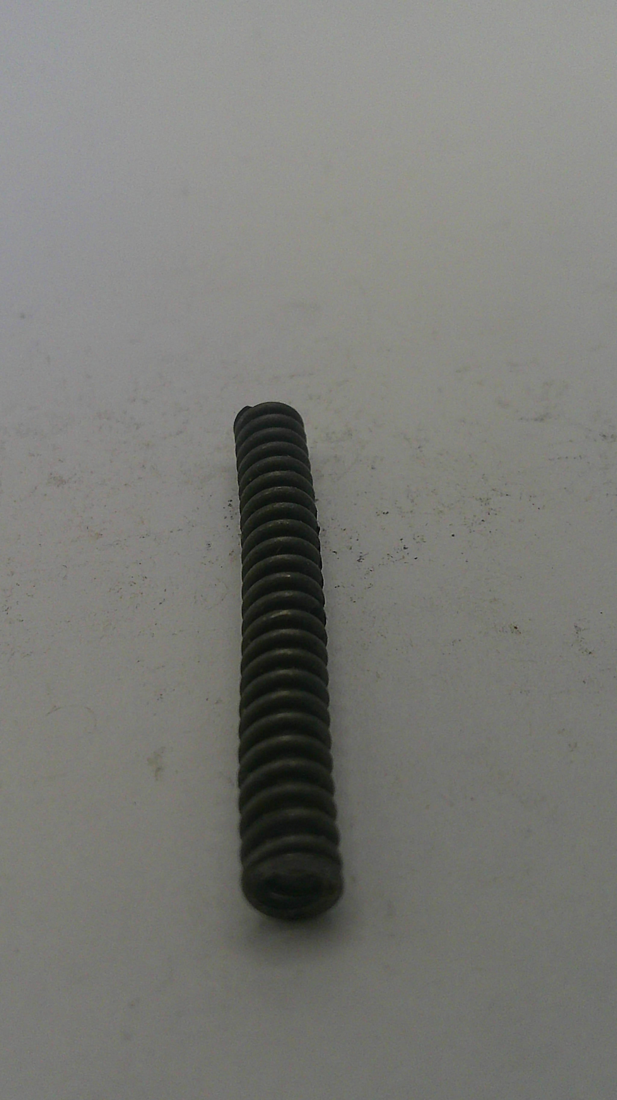 Black screw on a light gray background
