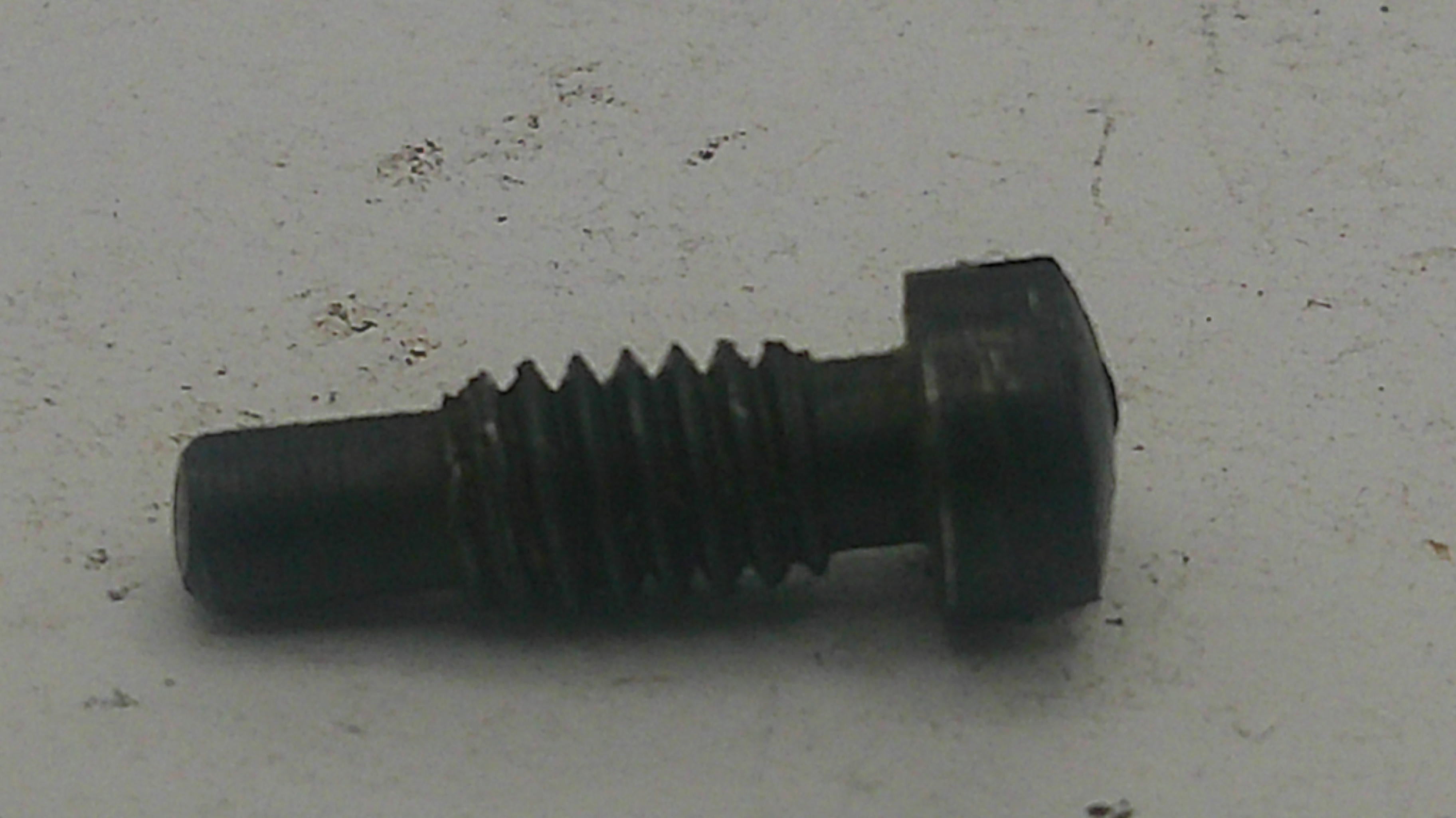 Black screw on a light gray background