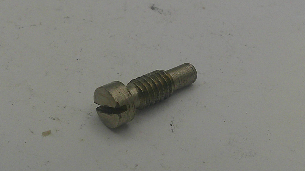 Metal screw on a light gray background