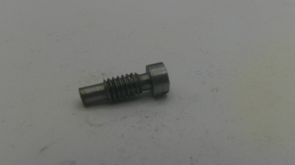 Metal screw on a light gray background