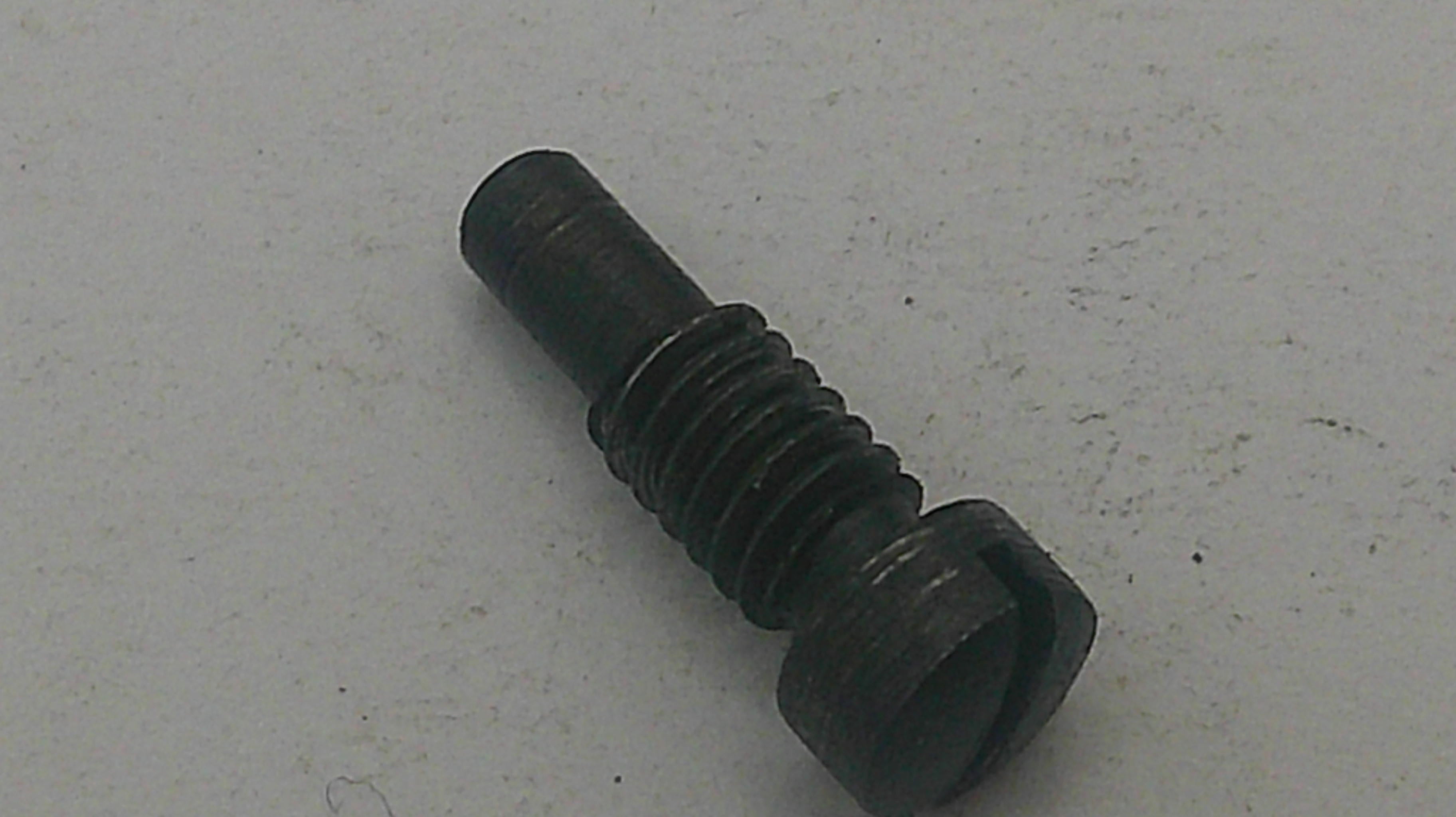 Black screw on a light gray background