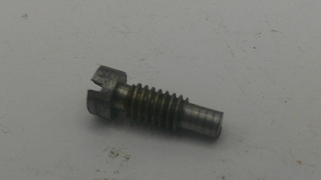 Metal screw on a white background