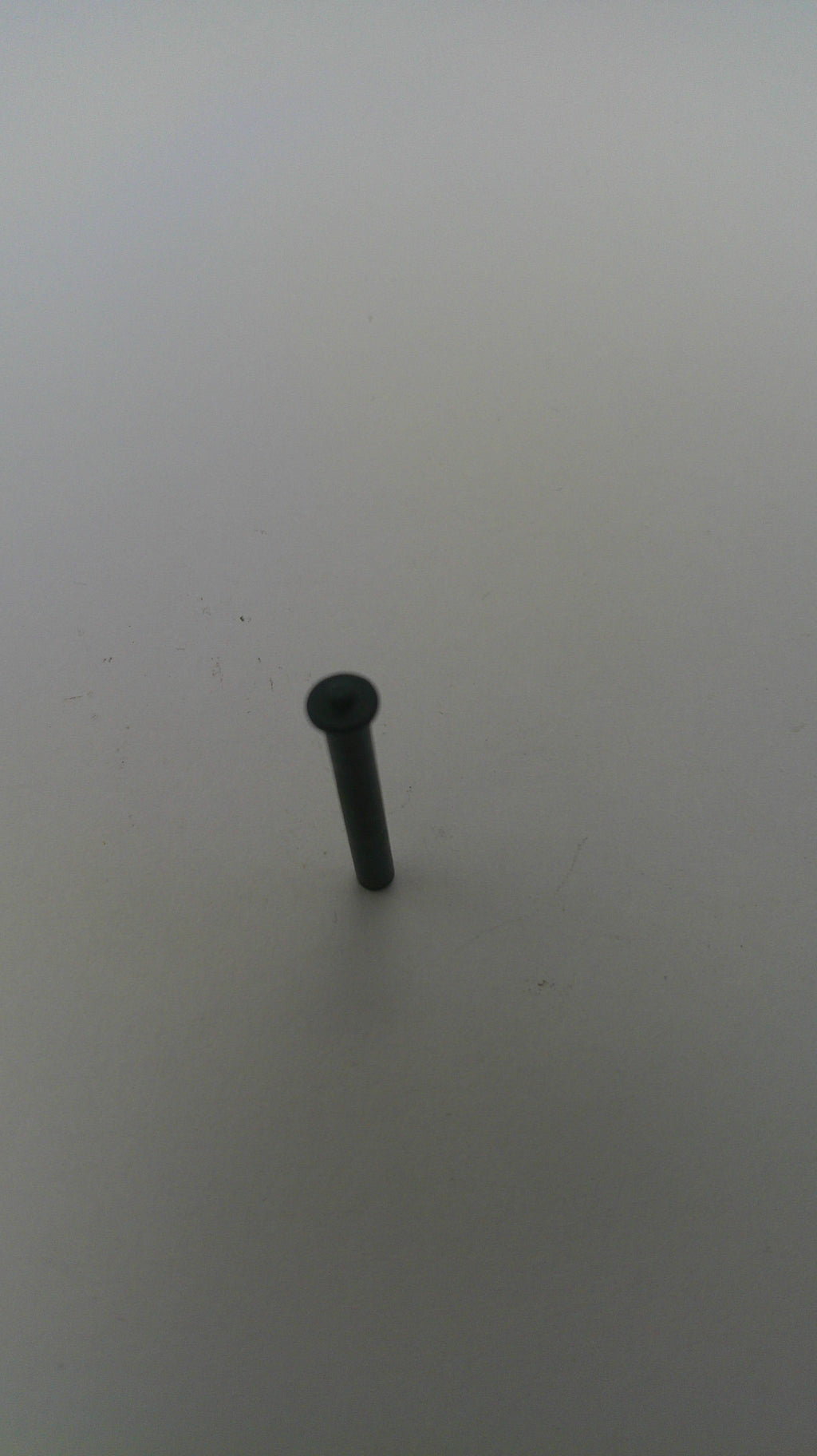 Black screw on a white background