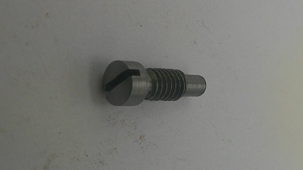 Metal screw on a light gray background