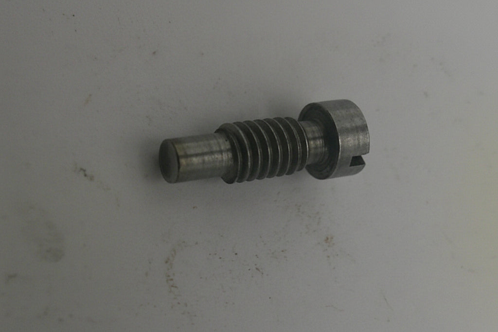 Metal screw on a light gray background
