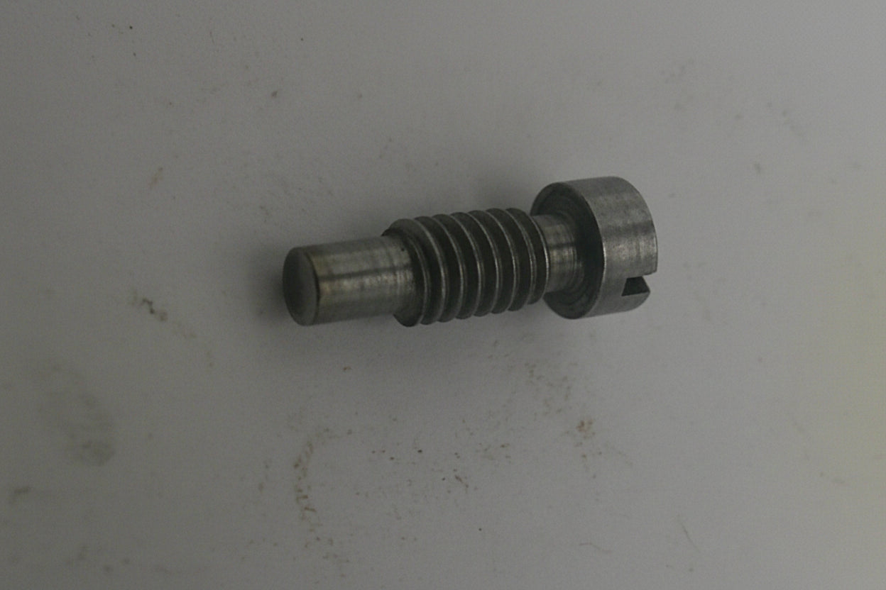 Metal screw on a light gray background