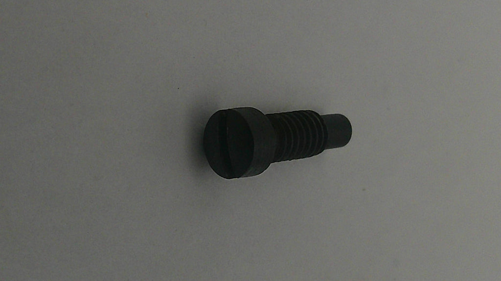 Black screw on a gray background