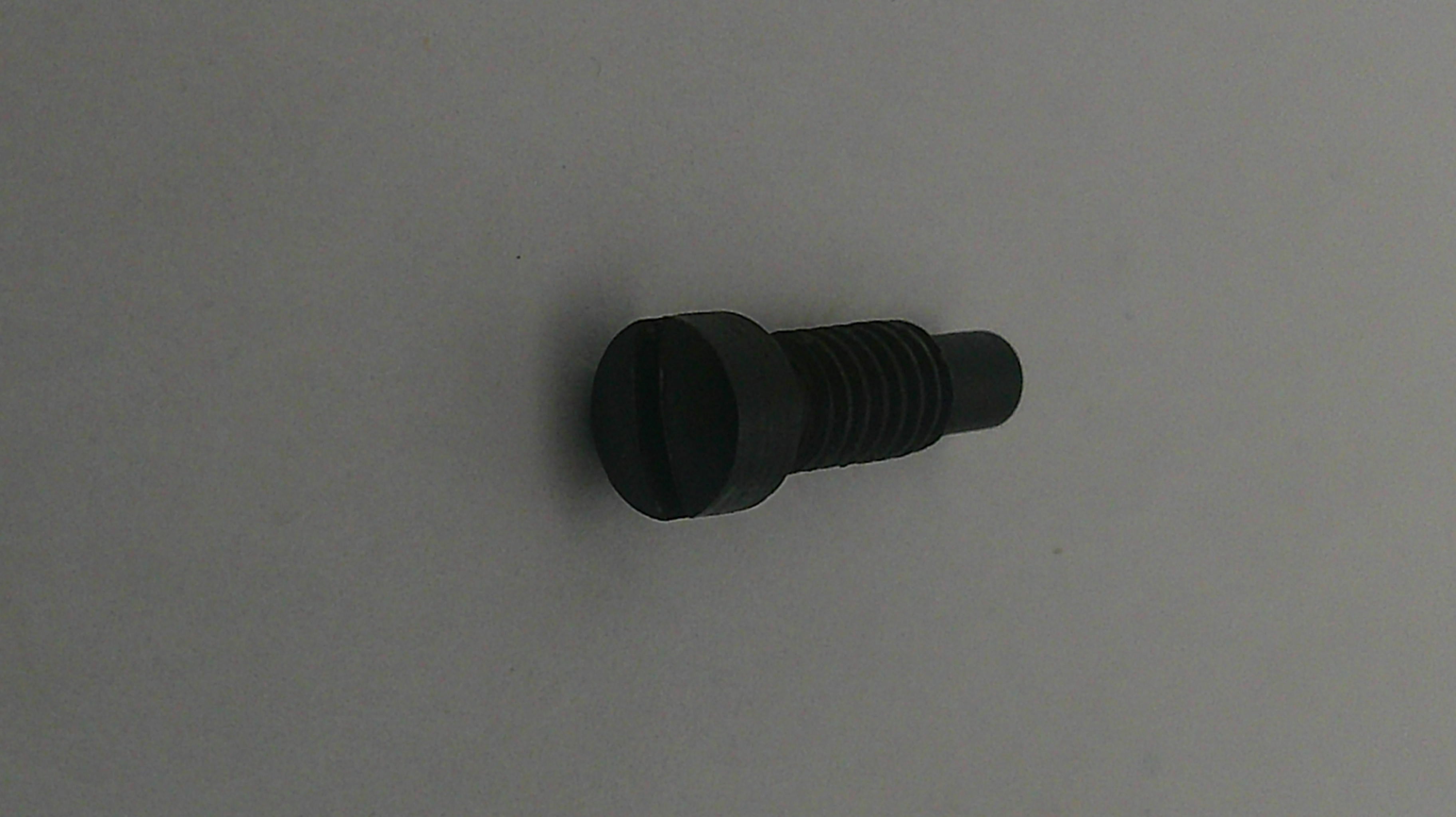 Black screw on a gray background