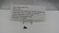 Smith & Wesson M&P M2.0 Optic Cover Plate Mounting Screw 421590000
