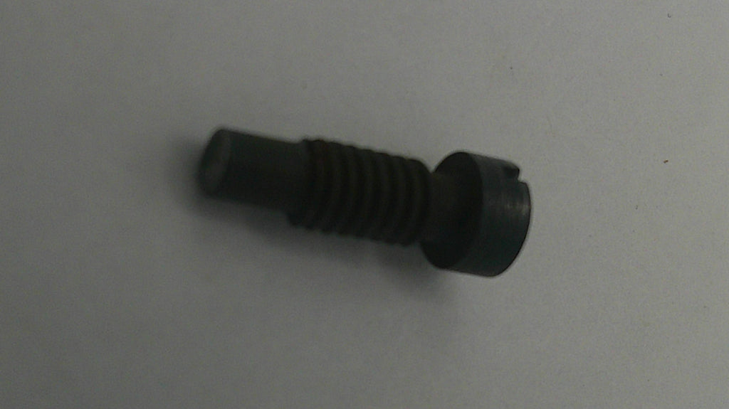 Black screw on a white background