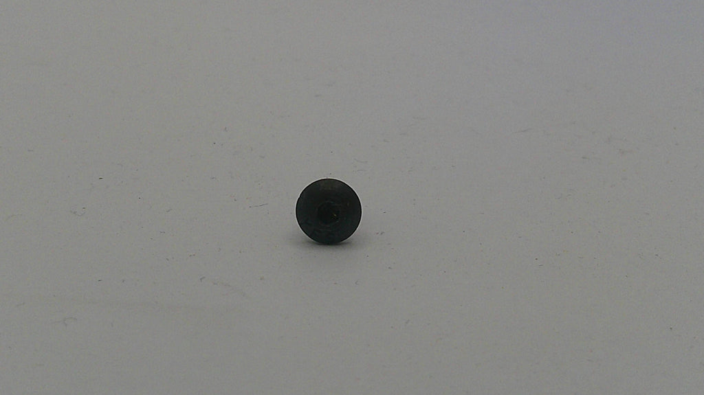 Smith & Wesson M&P M2.0 Optic Cover Plate Mounting Screw 421590000
