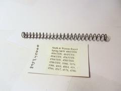 895240000 S&W Recoil Spring - 4046TSW 4043TSW 4003TSW Multi-Model