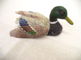 Duck Hunter Decoration Bundle 5 Items Total Free Shipping