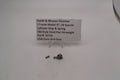 S&W Revolver J Frame Model 37 .38 SPL Cylinder Stop & Spring Airweight Old Style Used J375A