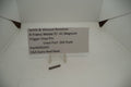 Smith & Wesson Revolver N Frame Model 57 Trigger Stop Pin .41 Magnum  Used 29193C