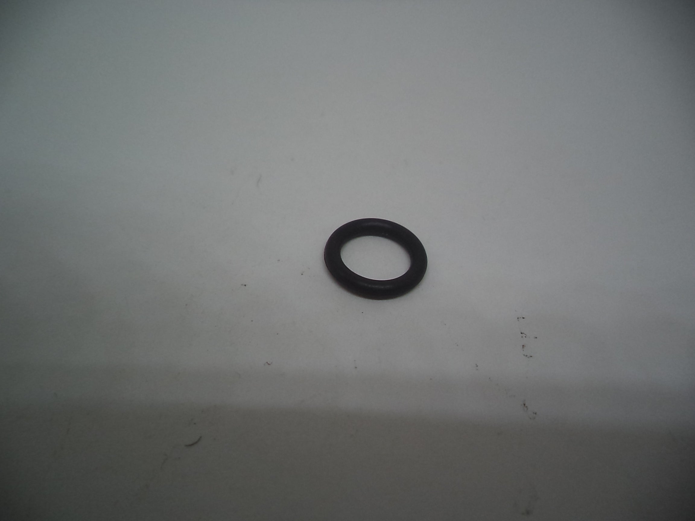 Smith & Wesson SW22 Victory Barrel O-Ring 3005920
