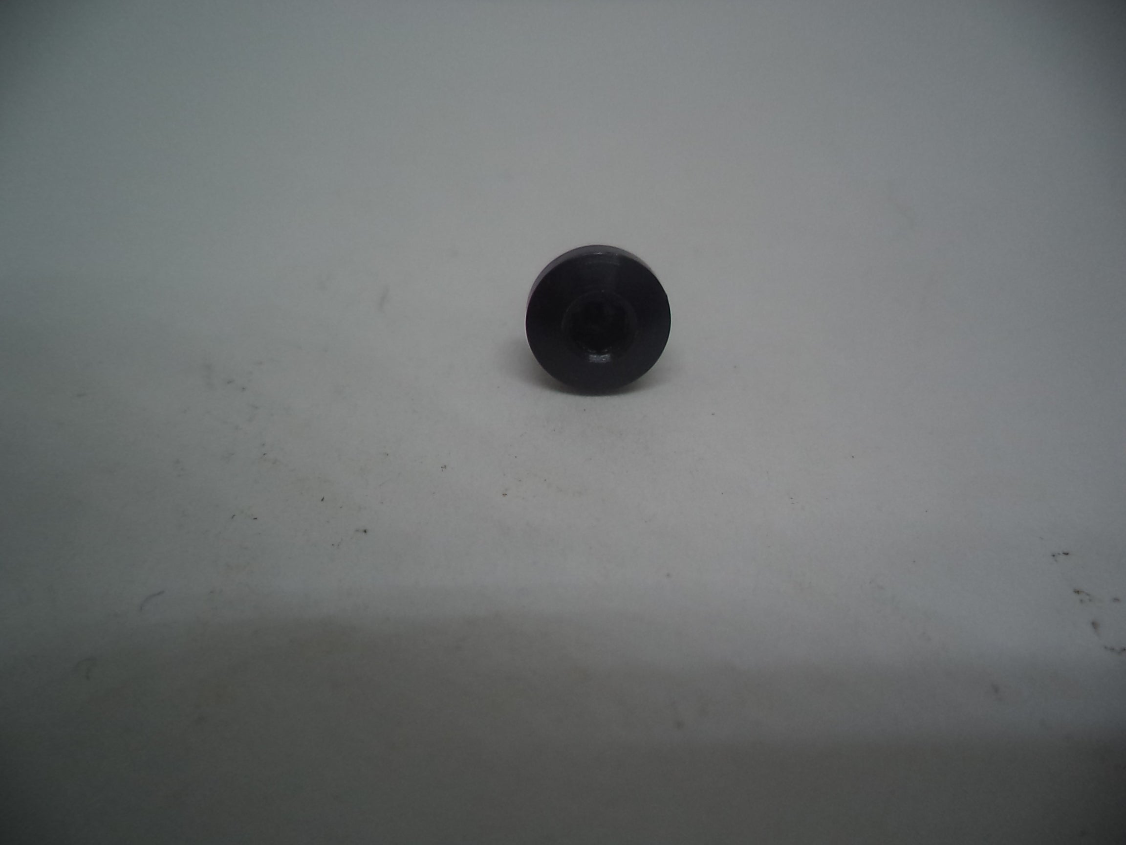 Smith & Wesson Model SW22 Victory Pistol Grip Screw Part# 390480000