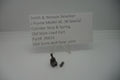 Smith & Wesson J Frame Model 36 Cylinder Stop & Spring .38 Special - Part # 3681A