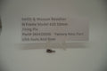 Smith & Wesson N Frame Model 610 Firing Pin 10mm Factory New Part 384420000